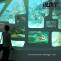 IRMTouch 55 inch touch frame